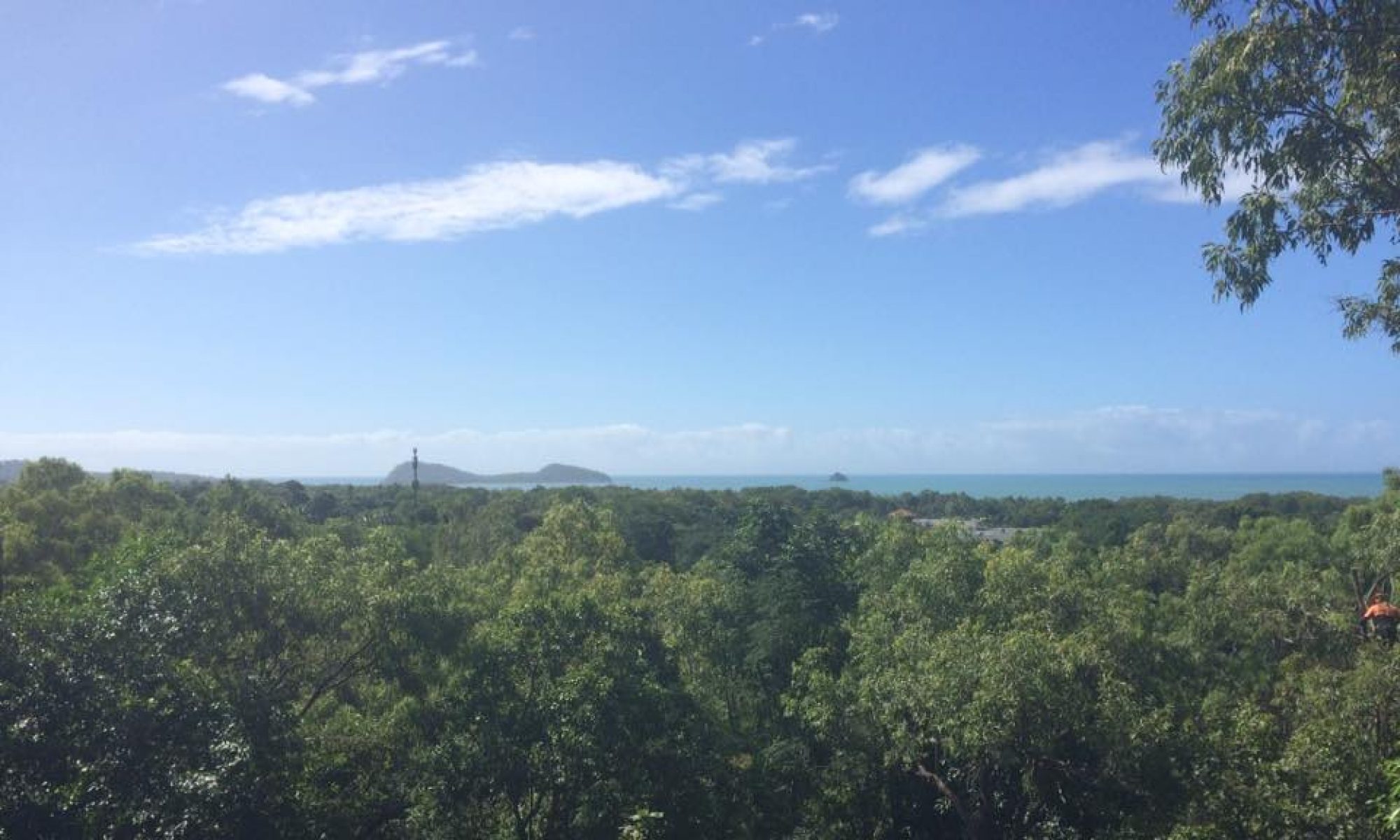 Tree and Stump Removal Cairns Queensland